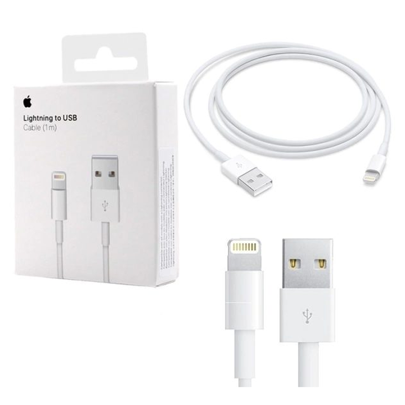 CABLE USB A LIGHTNING 1M APPLE A1480 iPhone